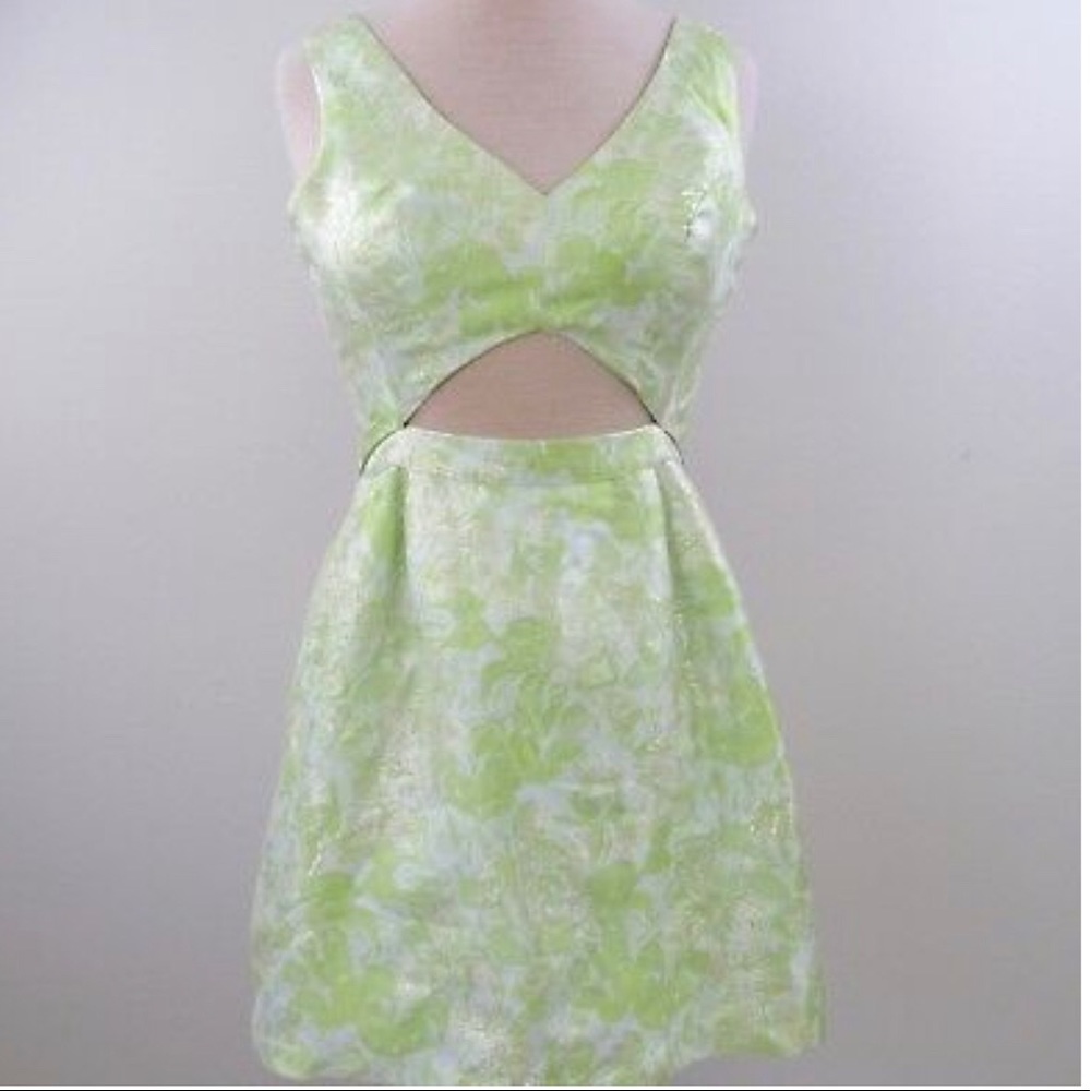 Floral Spring Dress